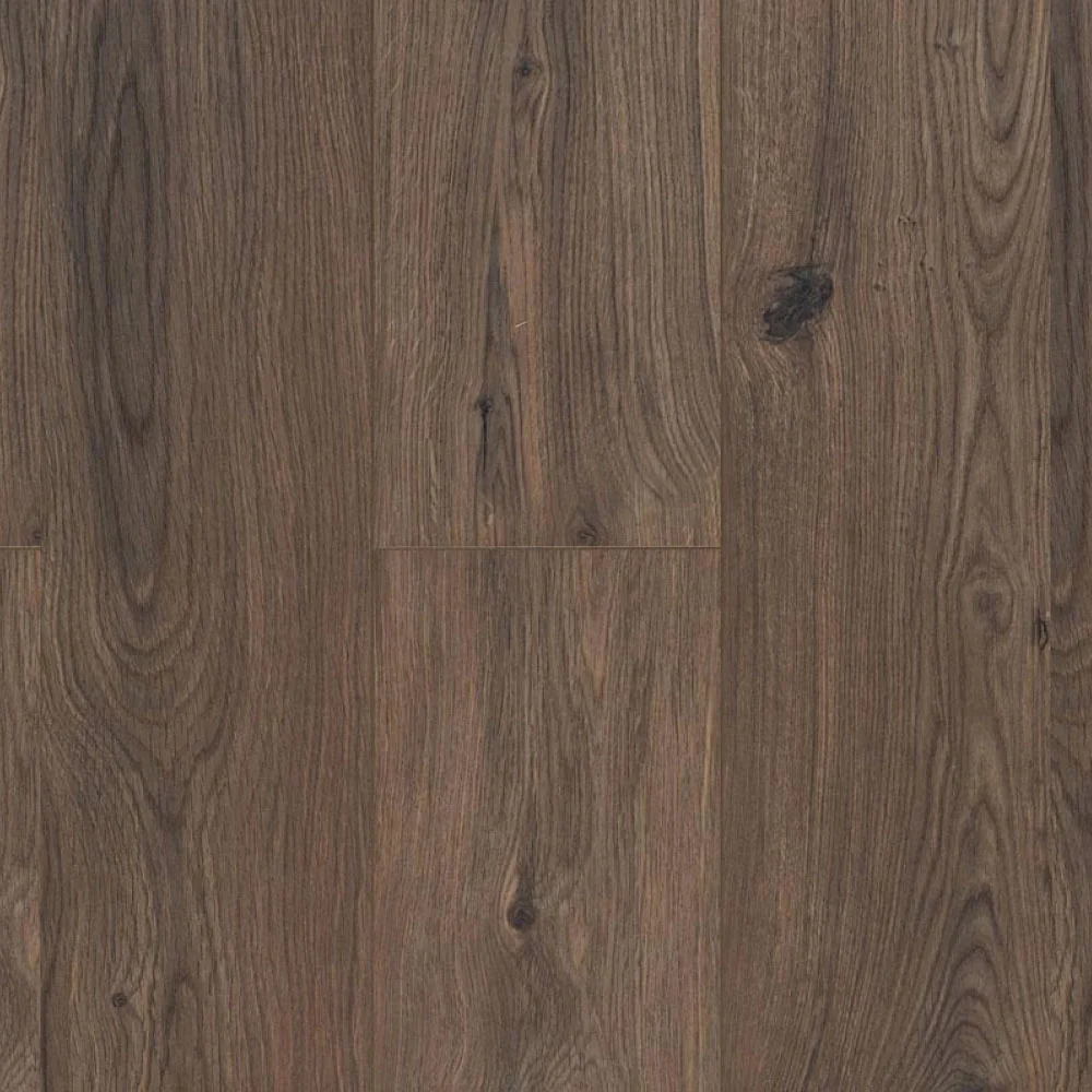 Ocean Gyant Dark Brown